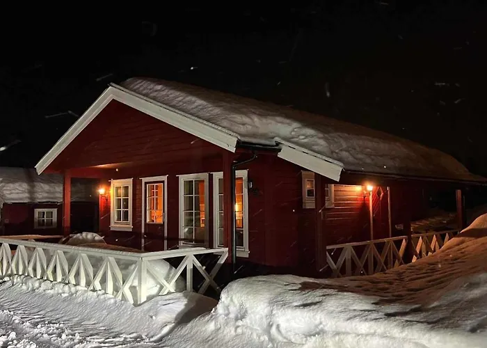 Saltvold Nr8